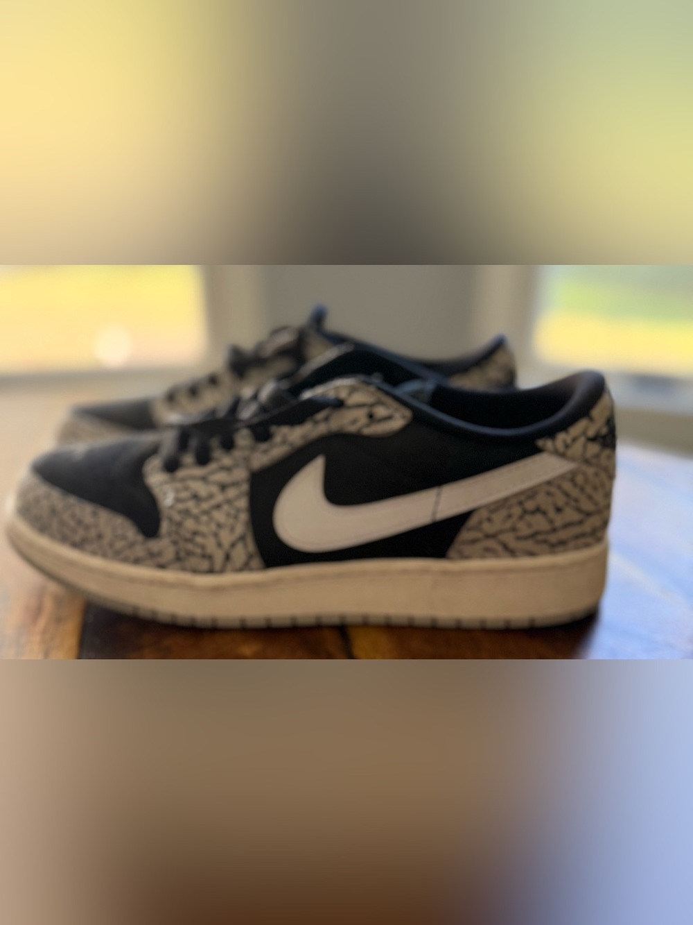 Nike Air Jordan Low with elephant print
